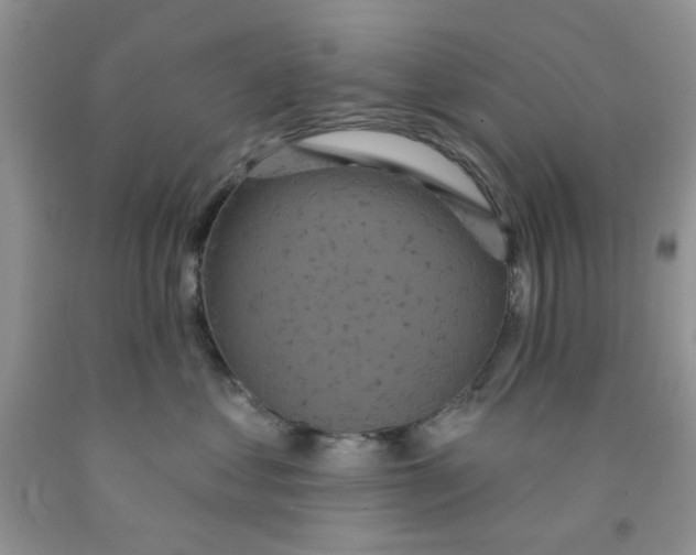 X0000091510621200709141356