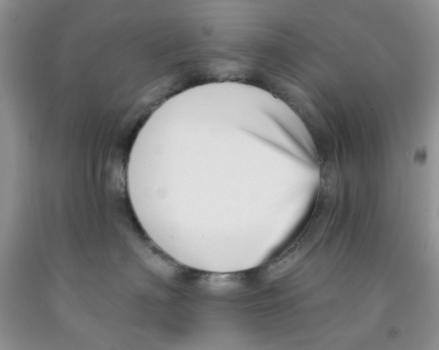 X0000091510622200709141356