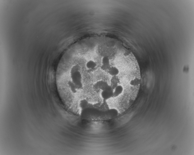 X0000091510623200709141356