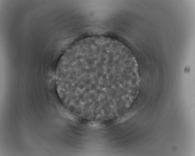 X0000091510624200709141356