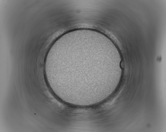 X0000091510625200709141355