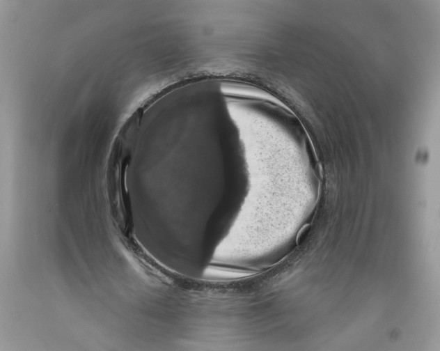 X0000091510626200709141355