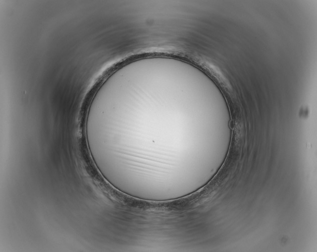 X0000091510628200709141355