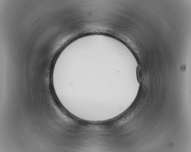 X0000091510629200709141355