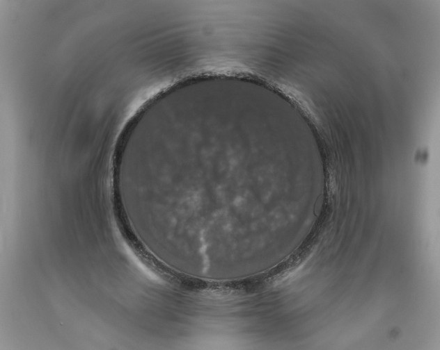 X0000091510630200709141355