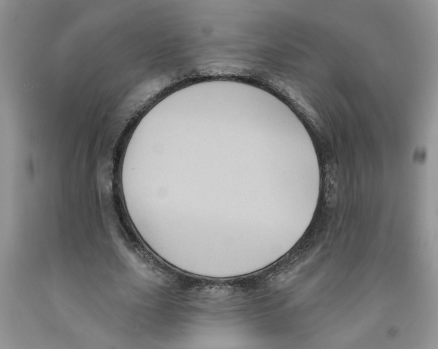 X0000091510631200709141355