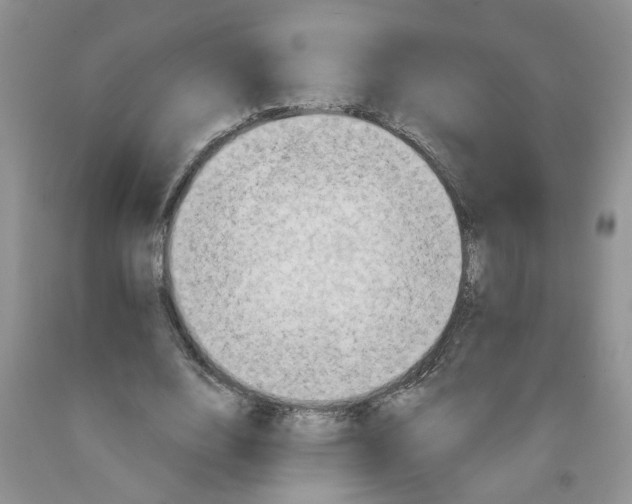 X0000091510632200709141355