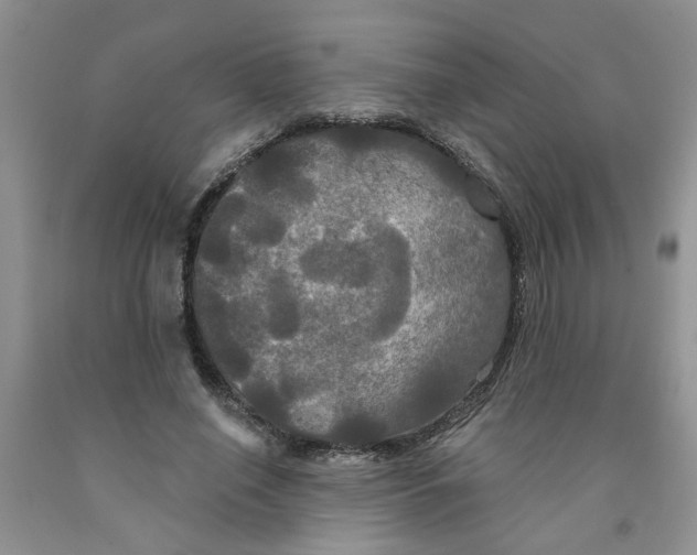 X0000091510638200709141355