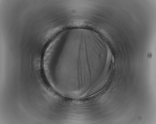 X0000091510640200709141355