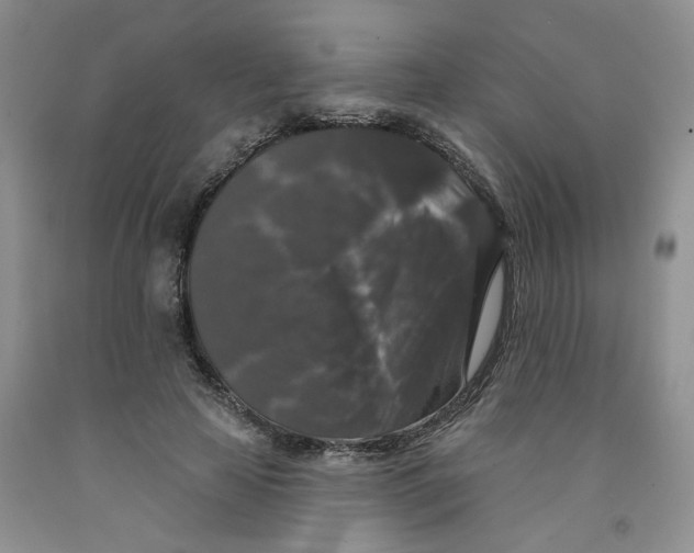 X0000091510641200709141355