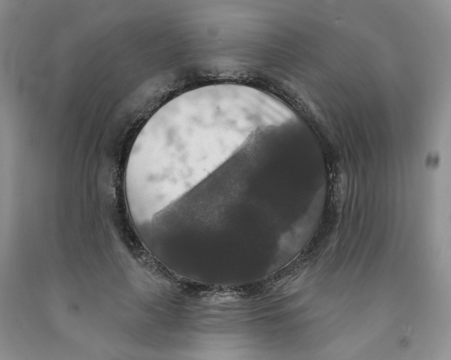 X0000091510643200709141355