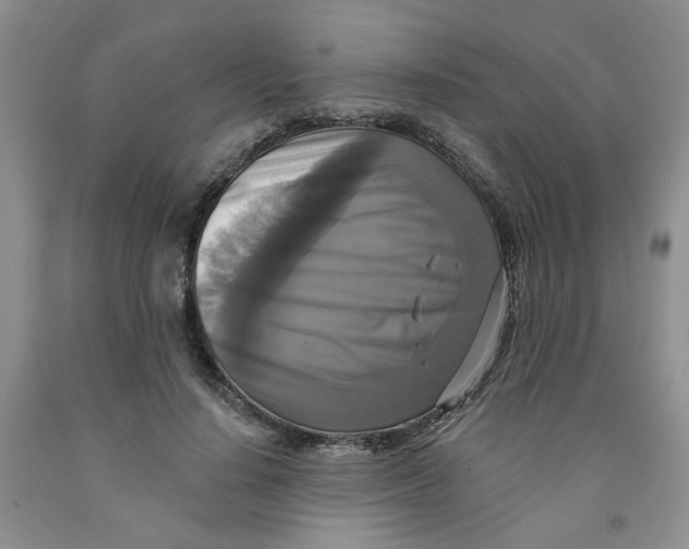 X0000091510644200709141355