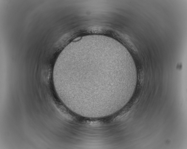 X0000091510645200709141355