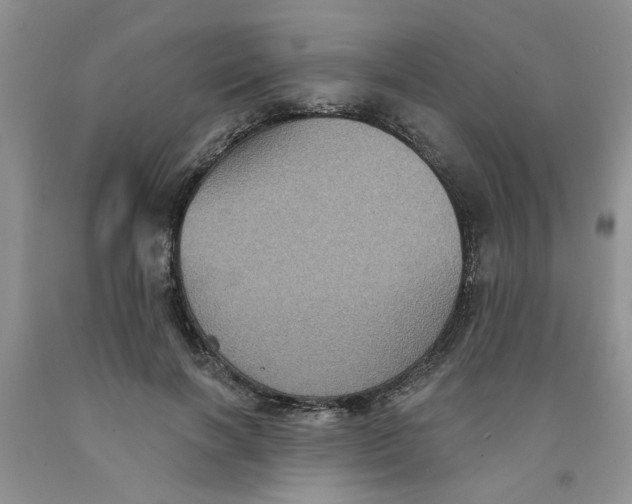 X0000091510646200709141356