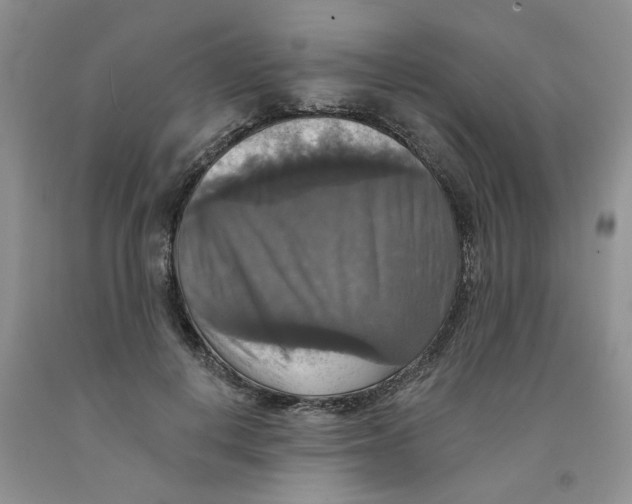 X0000091510648200709141356