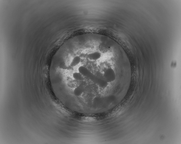 X0000091510649200709141356