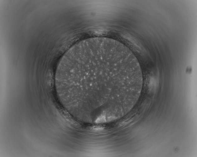 X0000091510651200709141356