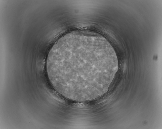 X0000091510652200709141356