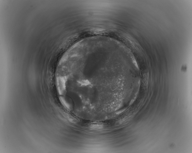 X0000091510653200709141356