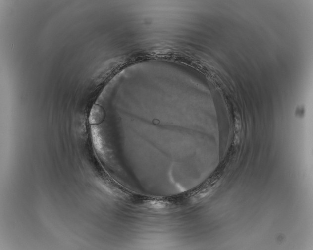 X0000091510654200709141356