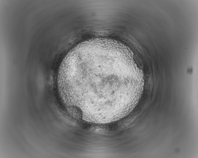 X0000091510655200709141356