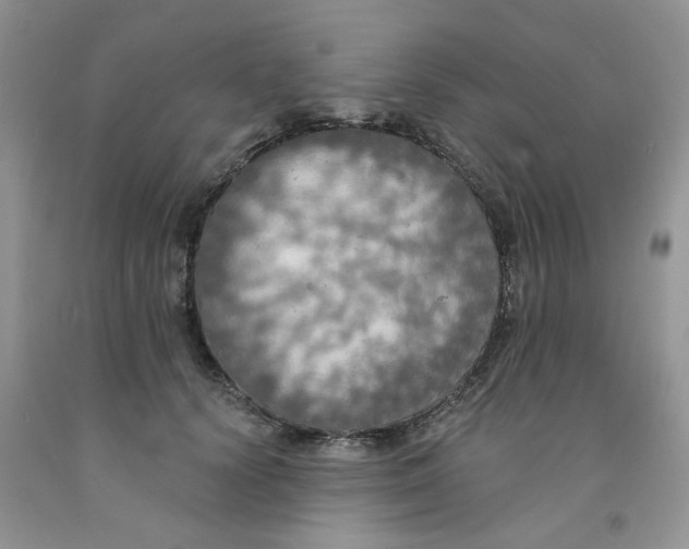 X0000091510656200709141356