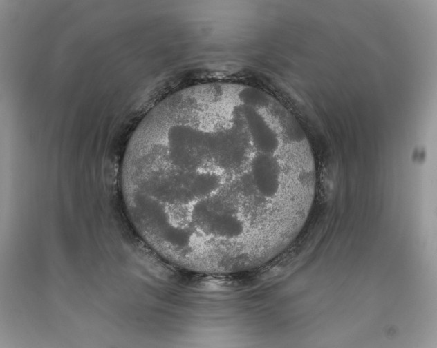 X0000091510657200709141356