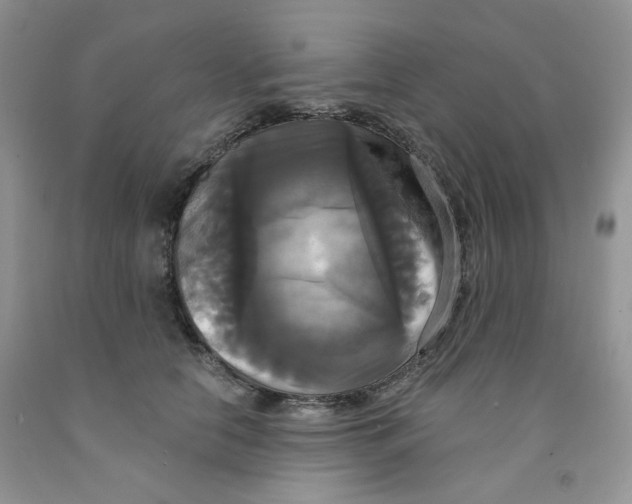 X0000091510658200709141356