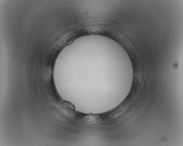 X0000091510660200709141356