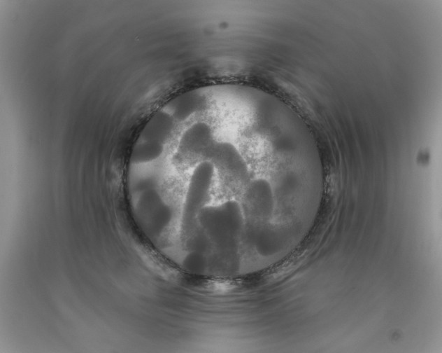 X0000091510662200709141356