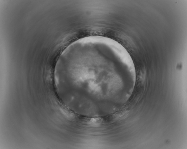 X0000091510663200709141356