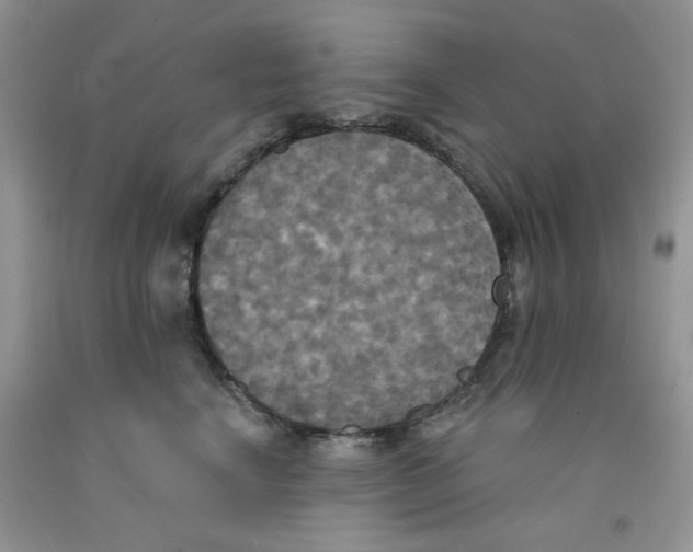 X0000091510664200709141356