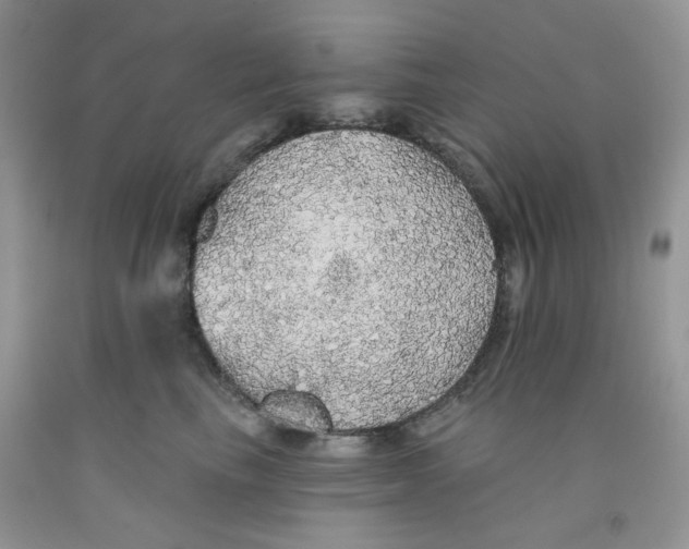 X0000091510665200709141356