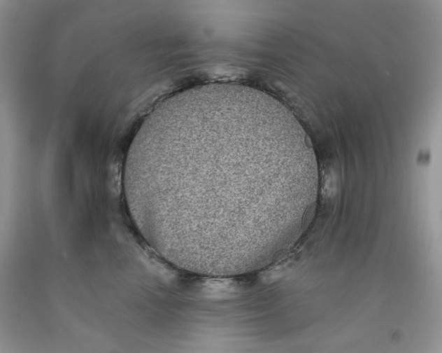 X0000091510666200709141356