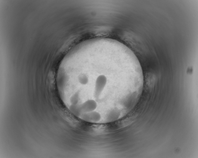 X0000091510667200709141356