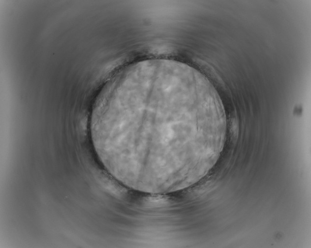 X0000091510668200709141356