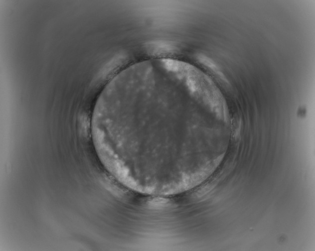 X0000091510669200709141356