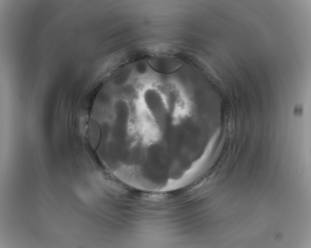 X0000091510671200709141356