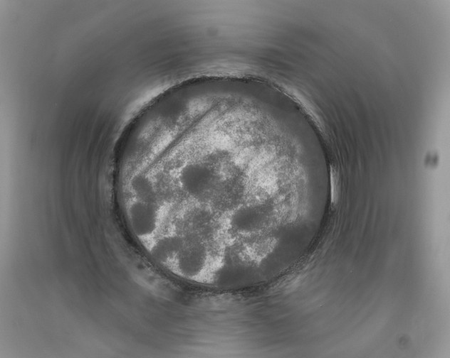 X0000091510675200709141355