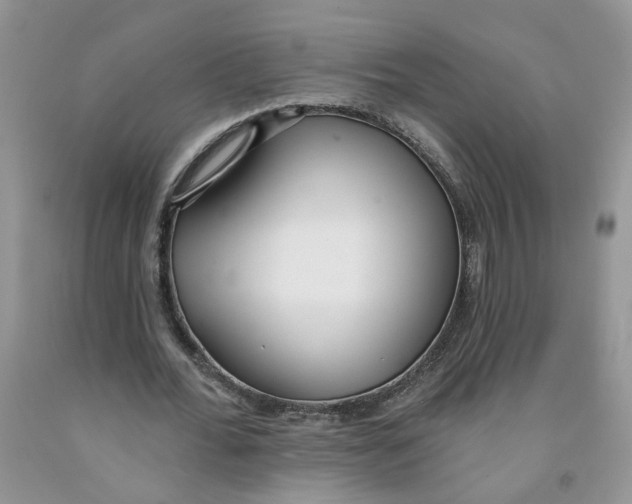 X0000091510676200709141355