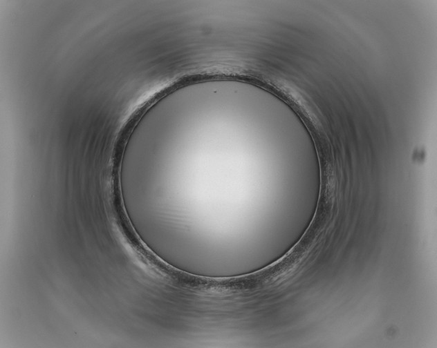 X0000091510677200709141355