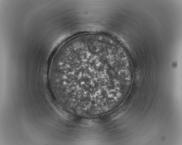 X0000091510679200709141355