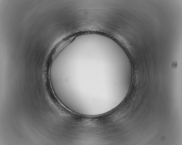 X0000091510680200709141355