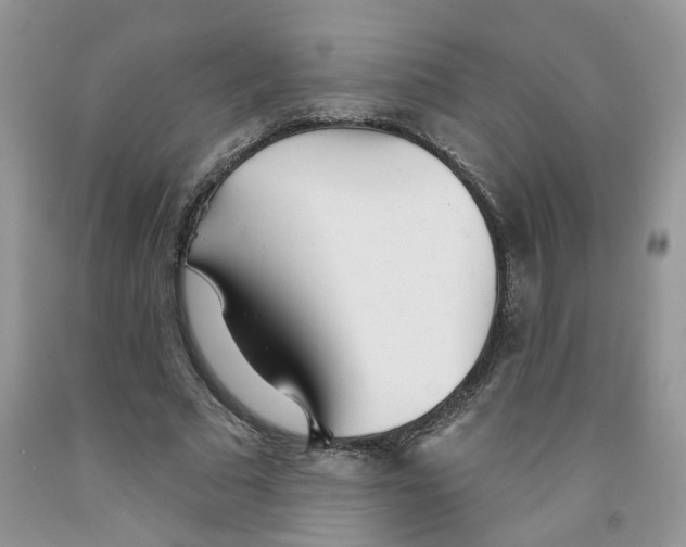 X0000091510681200709141355