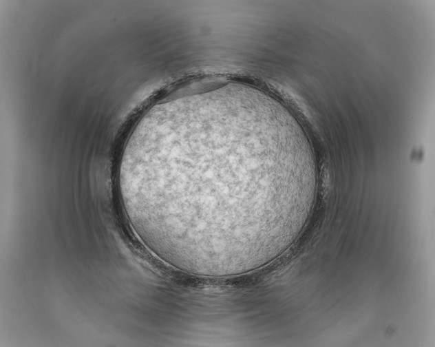 X0000091510684200709141355