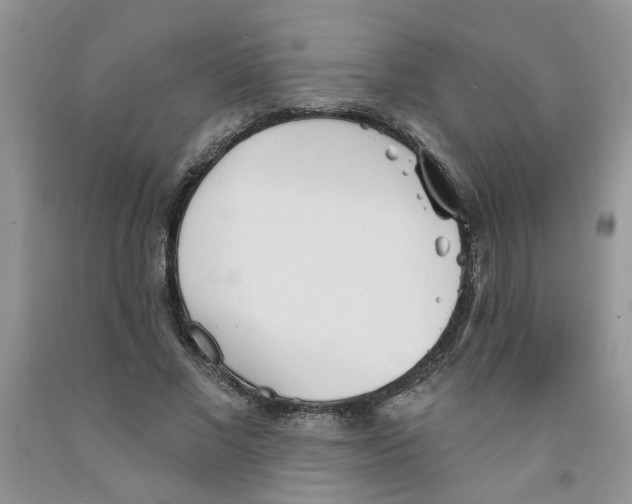 X0000091510685200709141355