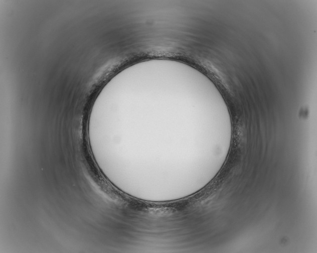 X0000091510686200709141355