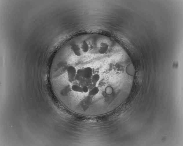 X0000091510687200709141355