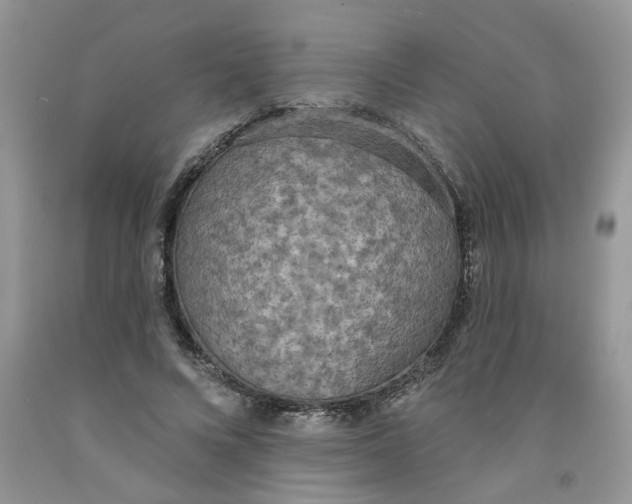 X0000091510688200709141355