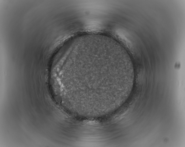 X0000091510689200709141355